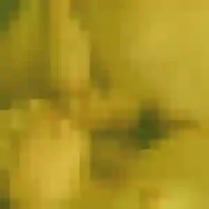 Sandrine (49 ans) à Villeneuve-les-Bordes cherche une rencontre aujourd'hui