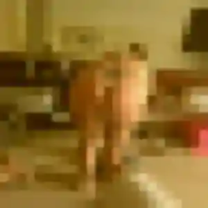 Caroline, femme de 36 ans propose rencontre cougar à Villeparisis