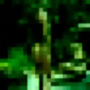 Découvre Martine, 46 ans à Villepinte gratuitement