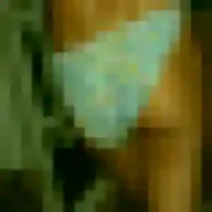 Profil de Viviane à Villers-Pol (45 ans) - rencontre cougar discret