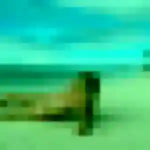 Photo perso de Marie-Therese, 52 ans à Villers-Sire-Nicole - plan discret