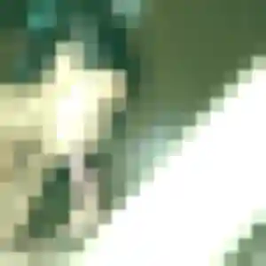 Yvette (42 ans) à Villiers-sous-Grez cherche un rencontre cougar ce soir