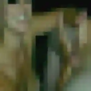 Catherine de Villons-les-Buissons, 42 ans - rencontre cougar sans prise de tête