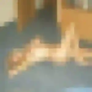 Belle Stephanie, 43 ans à Vis-en-Artois - la contacter