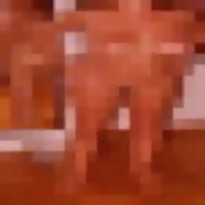 Nicole, 41 ans, dispo pour rencontre cougar à Vitré