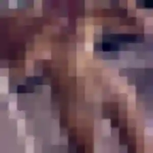 Solange, 44 ans, dispo pour rencontre cougar à Volgelsheim