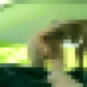 Photo perso de Elisabeth, 44 ans à Voray-sur-l'Ognon - rencontre coquine