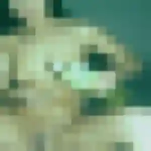 Photo de Isabelle à Vouillé-les-Marais (49 ans) - rencontre cougar discret