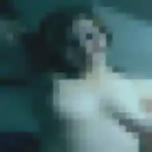Photo sexy de Veronique, 41 ans à Voulx - rencontre sans lendemain