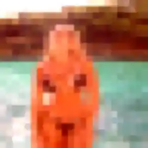 Photo privée de Bernadette, 49 ans à Vourles - plan discret