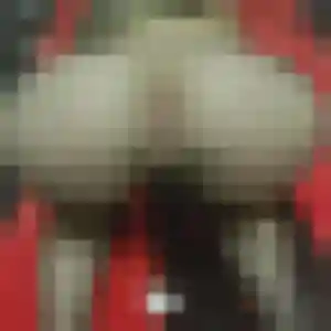 Photo sexy de Veronique, 47 ans à Vouzeron - rencontre sans lendemain