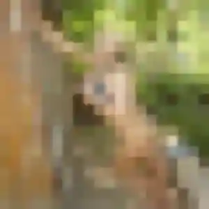 Photo privée de Alexandra, 51 ans à Wickerschwihr - plan discret