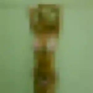 Photo exclusive de Paulette, 42 ans à Wimereux - rencontre sans lendemain